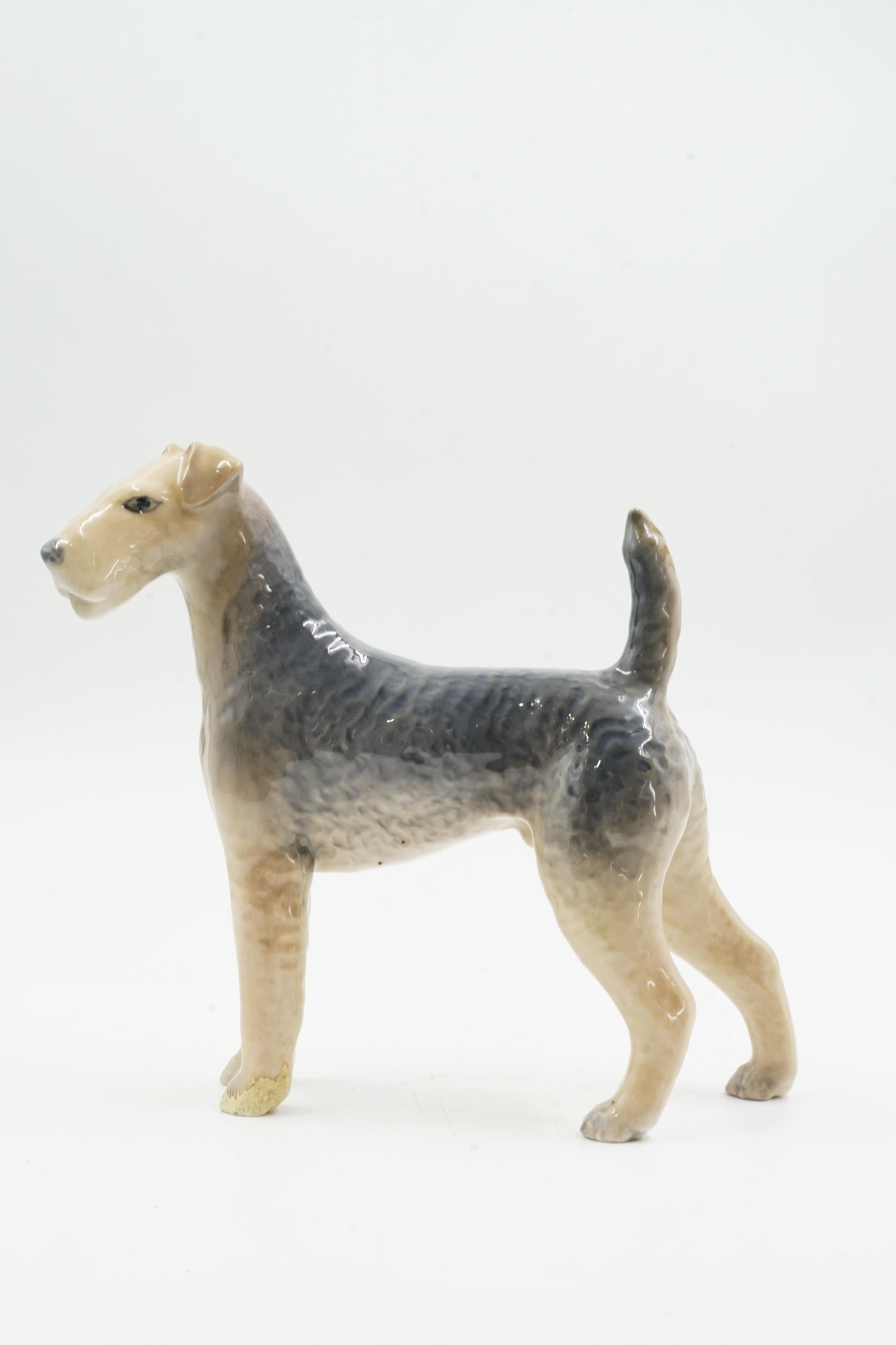 Escultura de cerámica de perro Royal Copenhagen
Origen Dinamarca Circa 1960
excelente estado general con algo de desgaste en una de sus patas delanteras
Escultura de perro posiblemente de la raza Airedale Terrier
porcelana vitrificada
al Copenhagen,