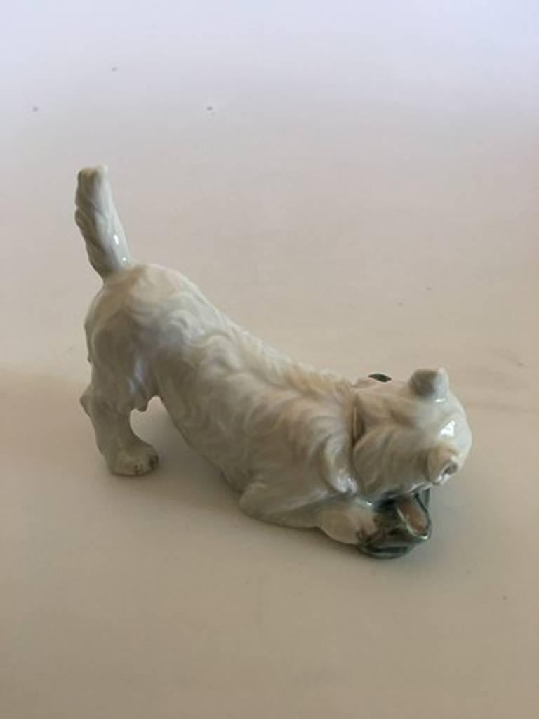 Royal Copenhagen dog figurine No. 3476. Measures: 9 cm H, 11 cm L. In nice whole condition.