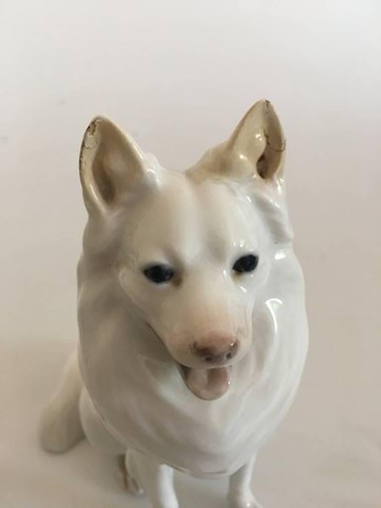 Royal Copenhagen Dog Figurine of White German Spitz No. 977. 17.5 cm H (6 57/64 in.)