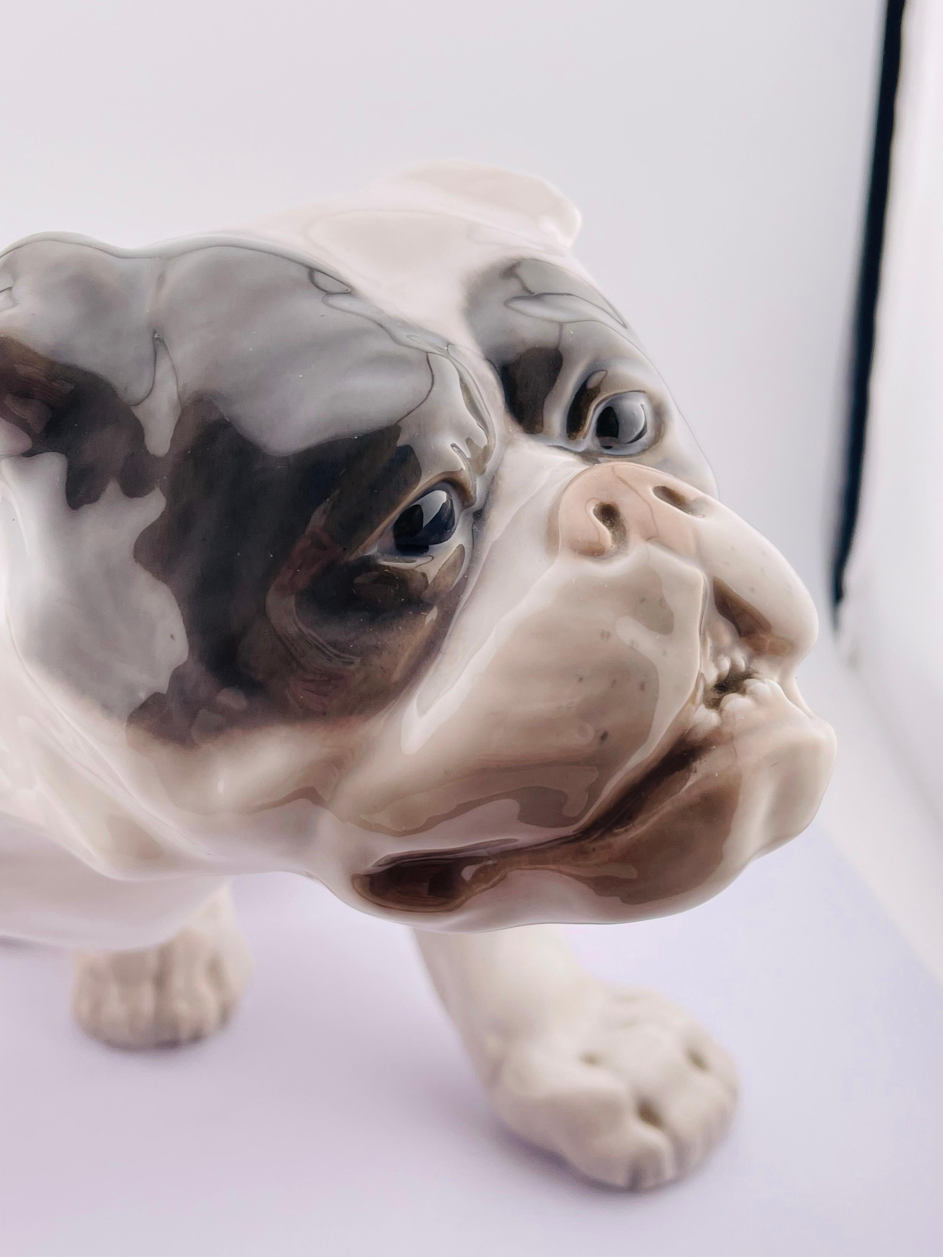 XX secolo Figurina di bulldog inglese di Royal Copenhagen Tipo: Sottosmalto Design/One: Knud Kyhn in vendita