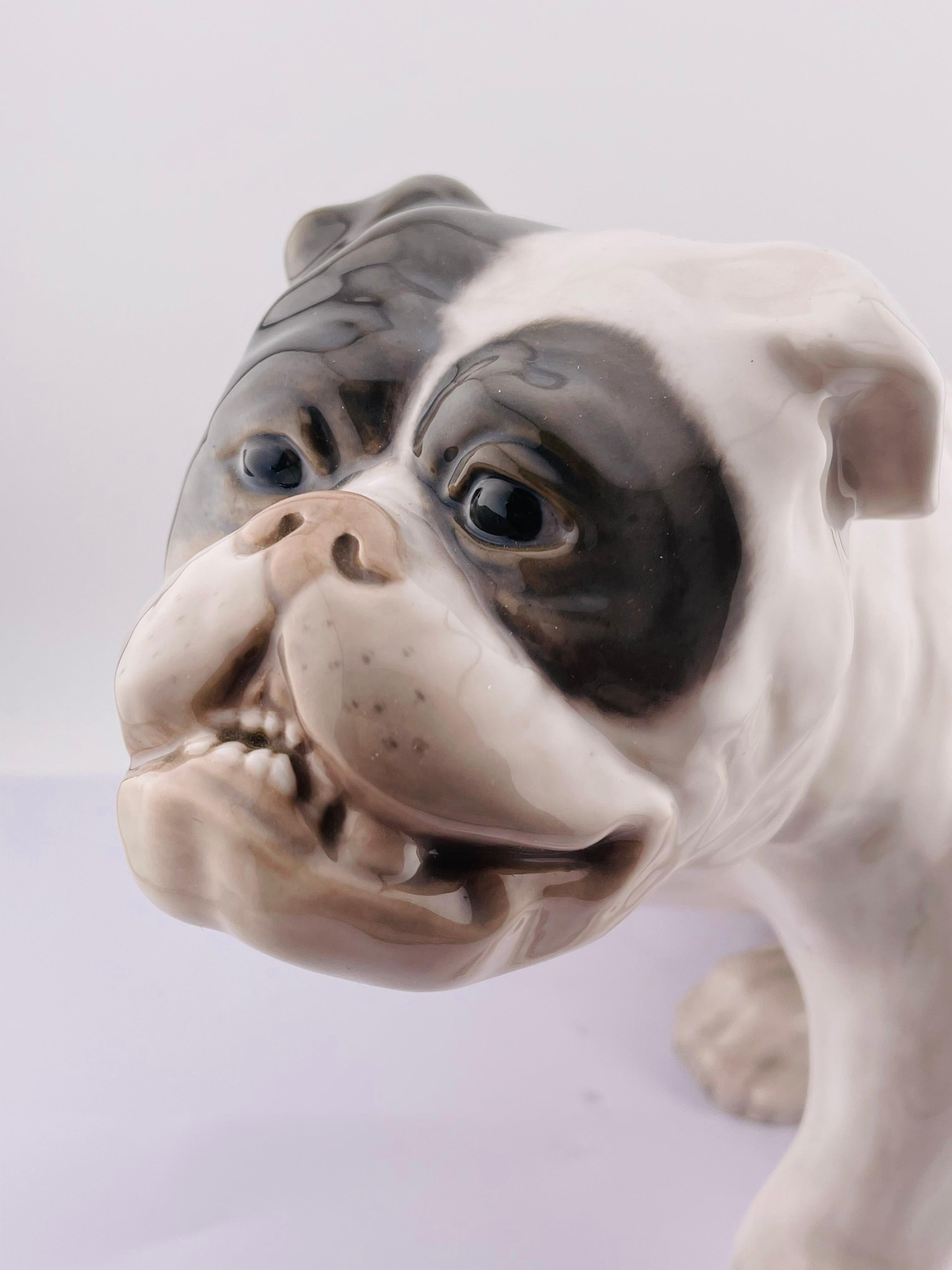 Figurina di bulldog inglese di Royal Copenhagen Tipo: Sottosmalto Design/One: Knud Kyhn in vendita 1
