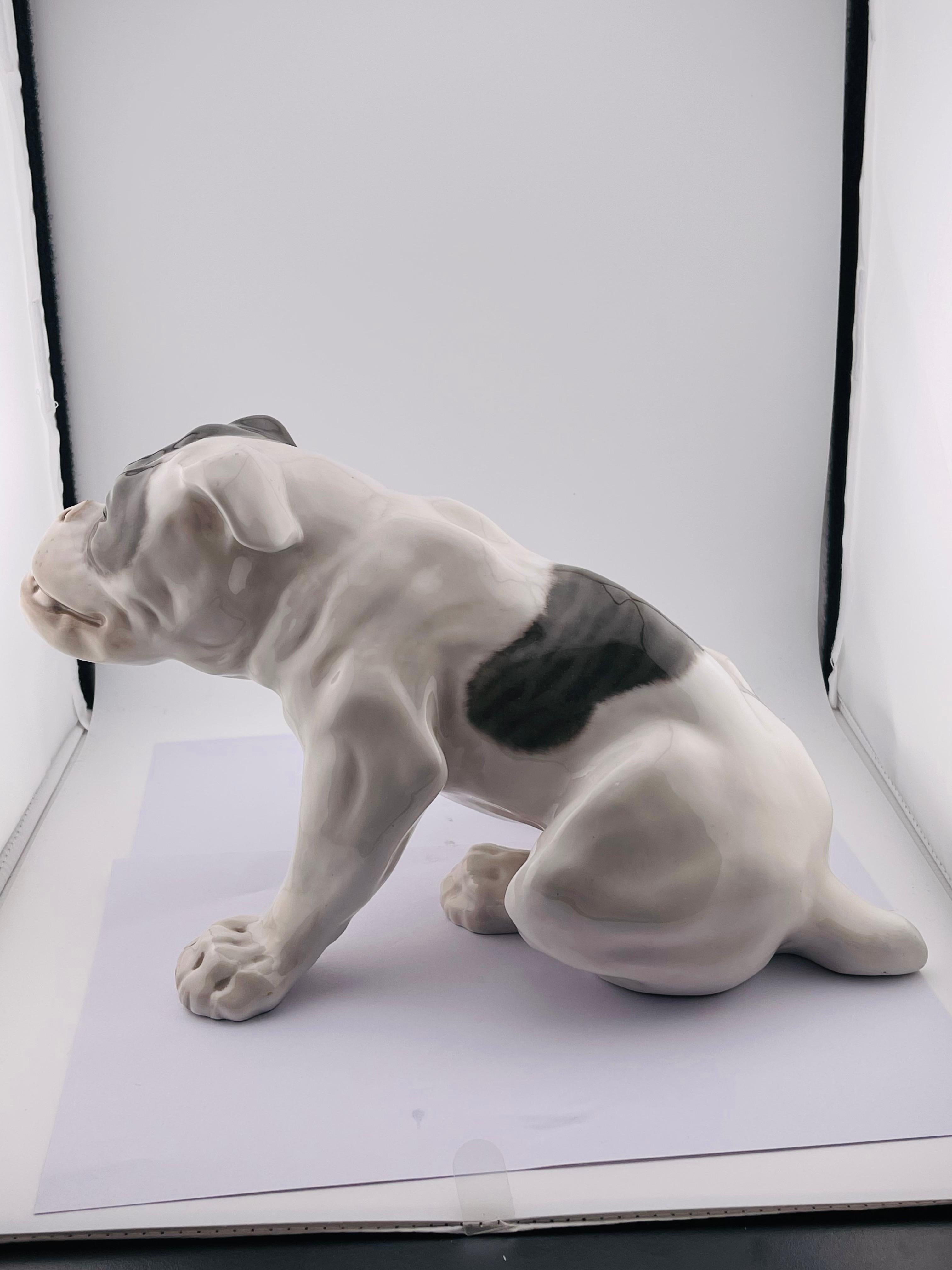 Figurina di bulldog inglese di Royal Copenhagen Tipo: Sottosmalto Design/One: Knud Kyhn

Grande statuetta decorata in modo colorato, disegnata da Knud Kyhn e proveniente dalla raffinata fabbrica di porcellane Royal Copenhagen.

Molto suggestivo e