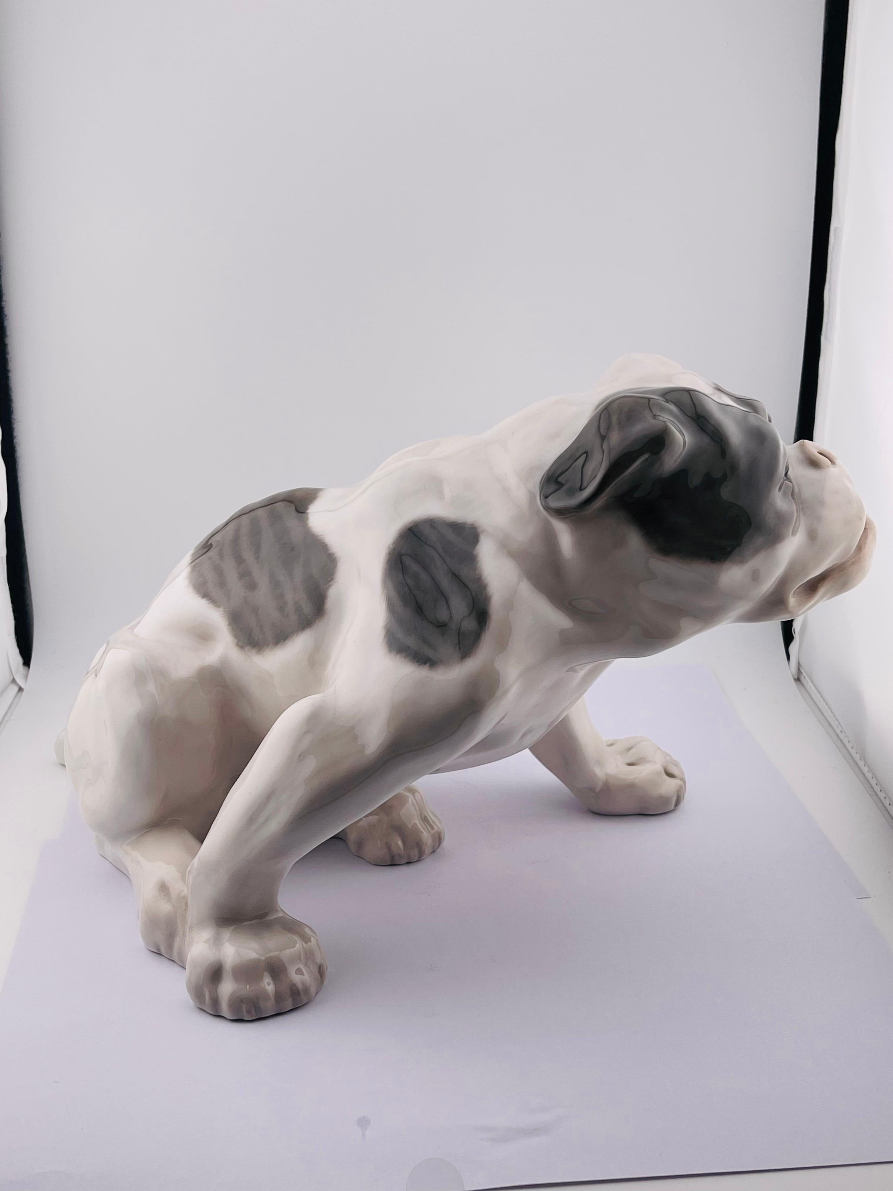 Danese Figurina di bulldog inglese di Royal Copenhagen Tipo: Sottosmalto Design/One: Knud Kyhn in vendita