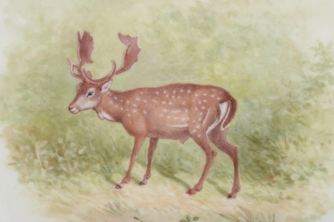 Danois Royal Copenhagen Fauna Danica, assiette à dîner avec un motif de cerf-volant en vente