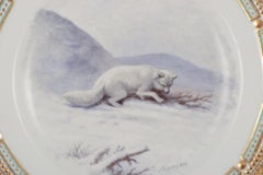 Royal Copenhagen Fauna Danica, dinner plate featuring a motif of an arctic fox.