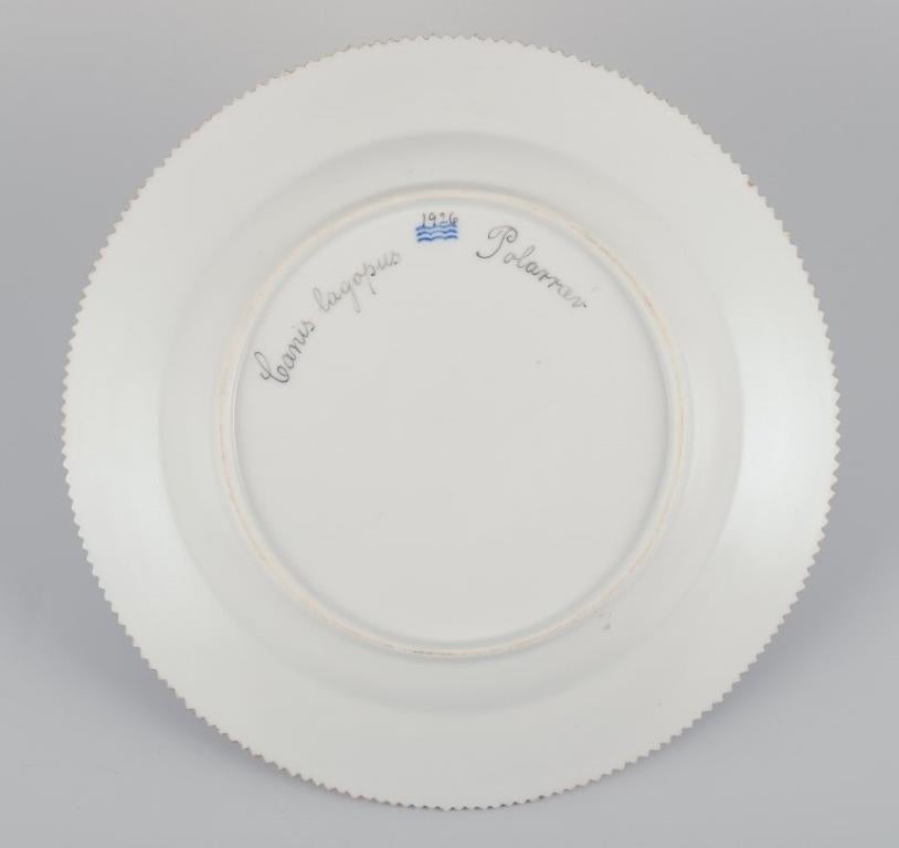 Porcelaine Royal Copenhagen Fauna Danica, assiette à dîner avec un motif de renard arctique. en vente