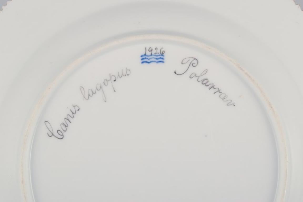 Royal Copenhagen Fauna Danica, assiette à dîner avec un motif de renard arctique. en vente 1