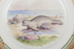 Royal Copenhagen Fauna Danica dinner plate with a motif of a seal.