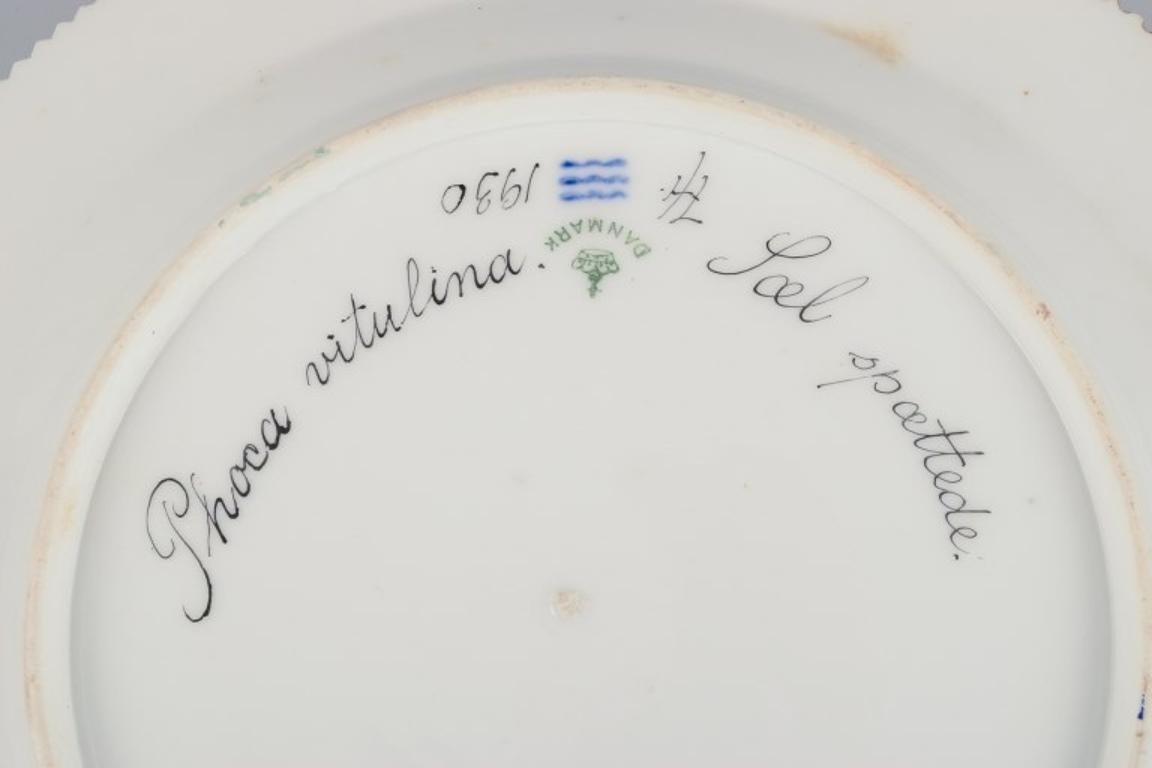 Porcelain Royal Copenhagen Fauna Danica dinner plate with a motif of a seal. For Sale