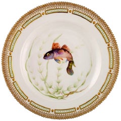 Royal Copenhagen Fauna Danica Fish Plate in Hand-Painted Porcelain