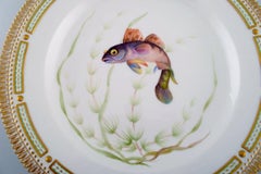 Royal Copenhagen Fauna Danica Fish Plate in Hand-Painted Porcelain with Fish