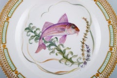 Royal Copenhagen Fauna Danica Fish Plate in Hand-Painted Porcelain with Fish