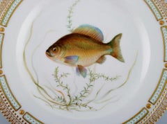 Royal Copenhagen Fauna Danica Fish Plate in Hand-Painted Porcelain with Fish