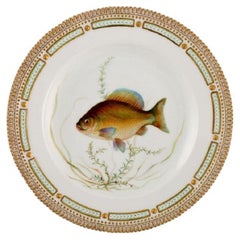 Royal Copenhagen Fauna Danica Fish Plate in Hand-Painted Porcelain with Fish