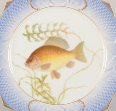 Royal Copenhagen Fauna Danica fish plate in porcelain. Approx. 1930