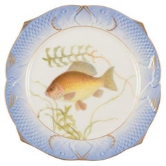 Assiette à poisson Fauna Danica en porcelaine de Royal Copenhagen. Environ 1930