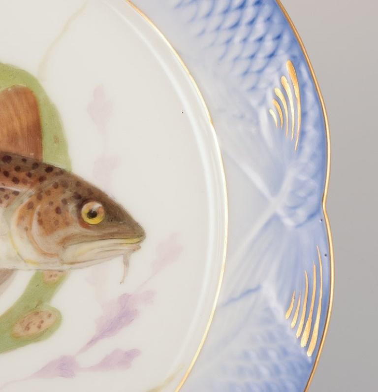 Milieu du XXe siècle Assiette à poisson Fauna Danica en porcelaine de Royal Copenhagen. en vente