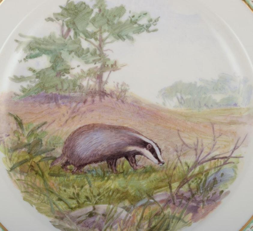 Royal Copenhagen Fauna Danica. Plato de porcelana con motivo de tejón Danés en venta