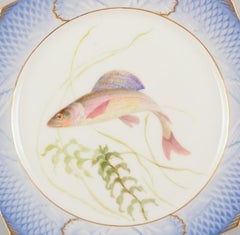 Royal Copenhagen Fauna Danica porcelain plate with fish motif. Approx. 1930