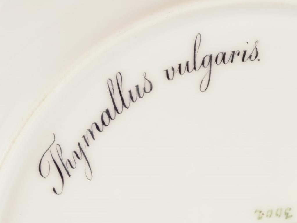 Royal Copenhagen Fauna Danica porcelain plate with fish motif. Approx. 1930 For Sale 2