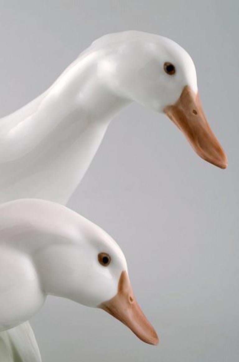 porcelain ducks for sale