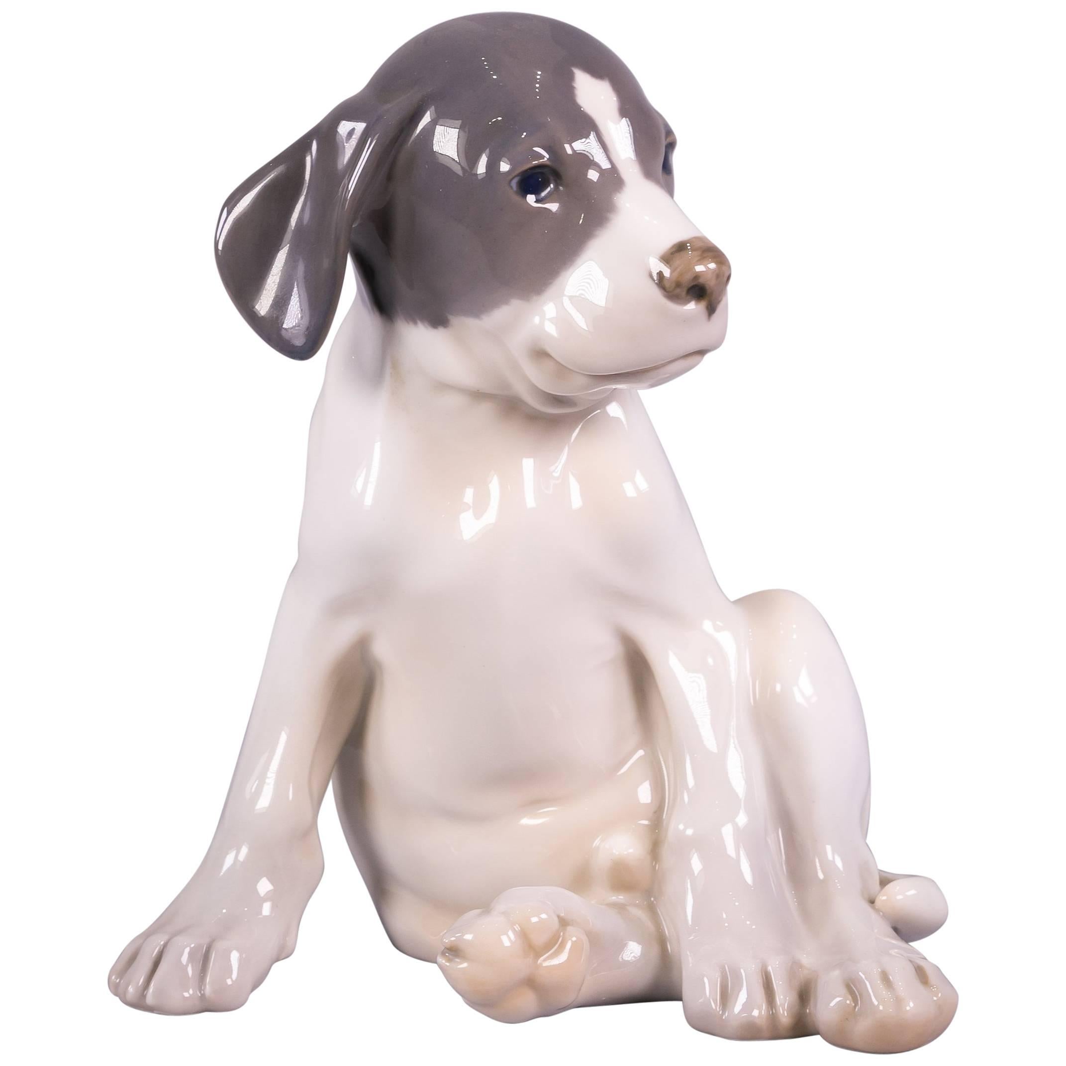 Royal Copenhagen Figure of a 'Pointer Puppy', Dated 1952