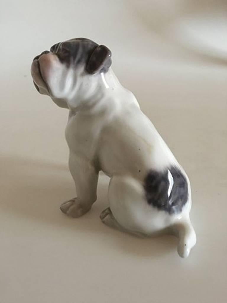 Royal Copenhagen figurine English bulldog #1452/2802. Measures: 11cm x 12cm and is in perfect condition. With early marks.