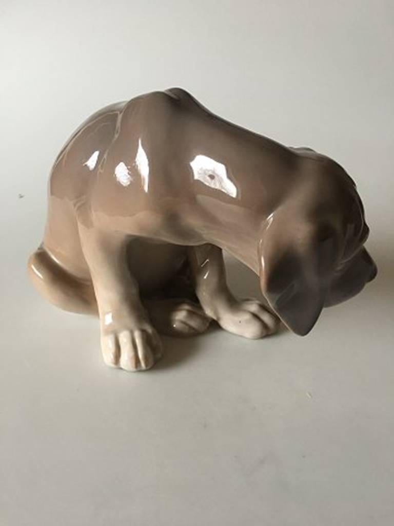 Royal Copenhagen figurine Labrador puppy BOB #318. Measures: 14cm x 23cm and is in good condition. Designed by Christian Thomsen.