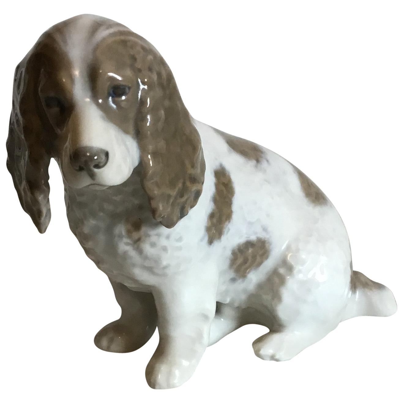 Royal Copenhagen Figurine of Cocker Spaniel No 3116