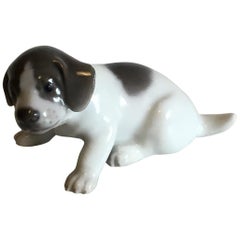Royal Copenhagen Figurine of Pointer Puppy No 1311