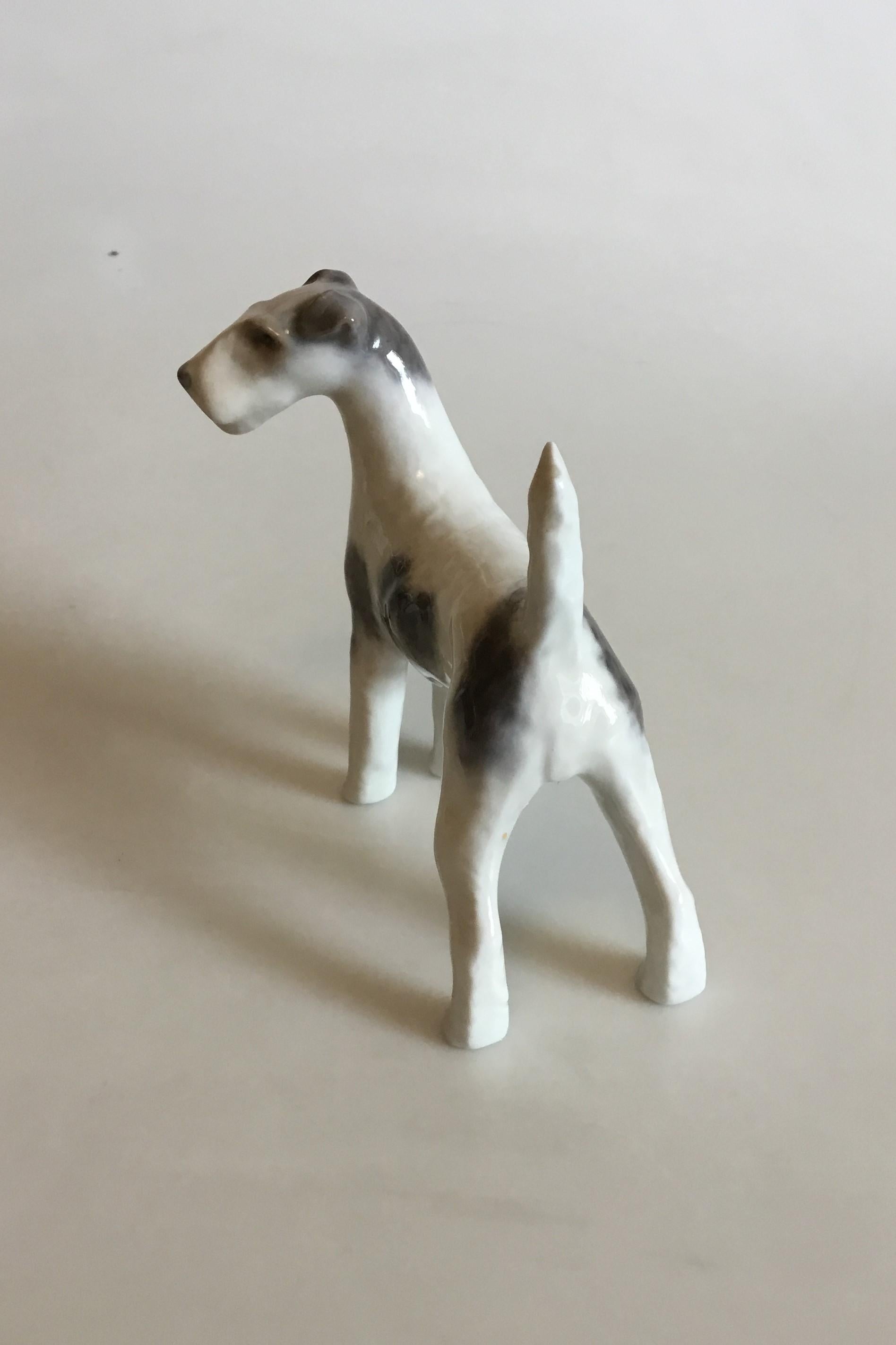 Royal Copenhagen figurine of wirehaired terrier no 3165. Measures: 12 cm / 4 23/32 in.