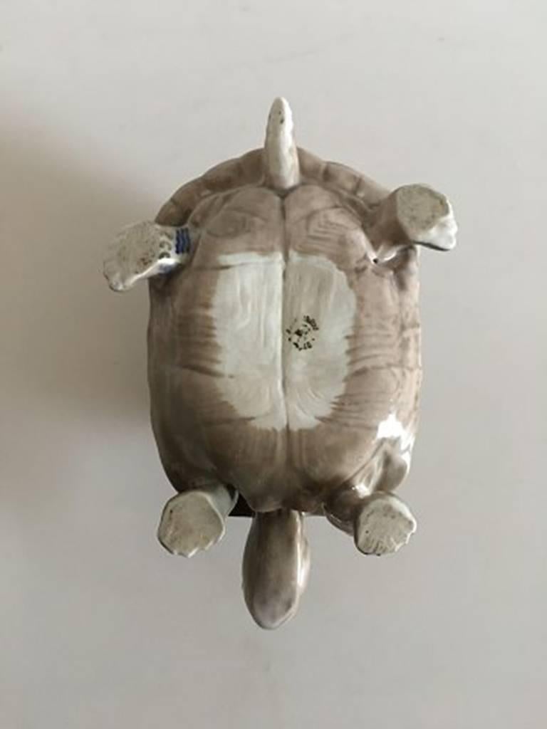 Danish Royal Copenhagen Figurine Tortoise #552 For Sale