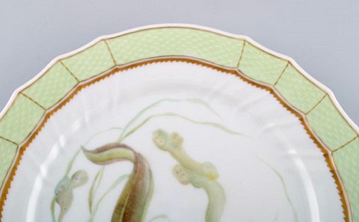 Danish Royal Copenhagen Fish Plate with Green Edge, Gold Decoration and Fish Motif For Sale