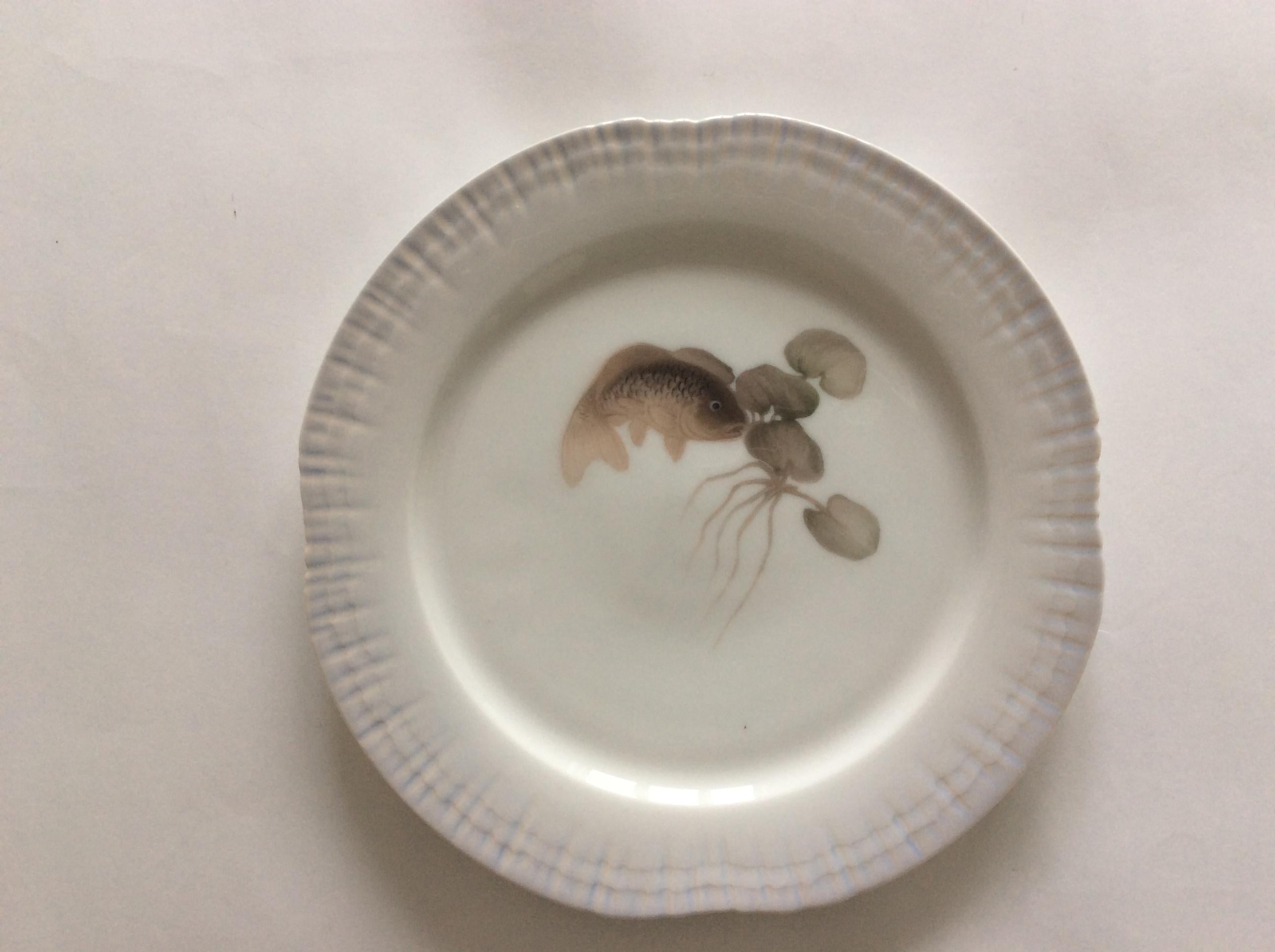 fish plates for sale