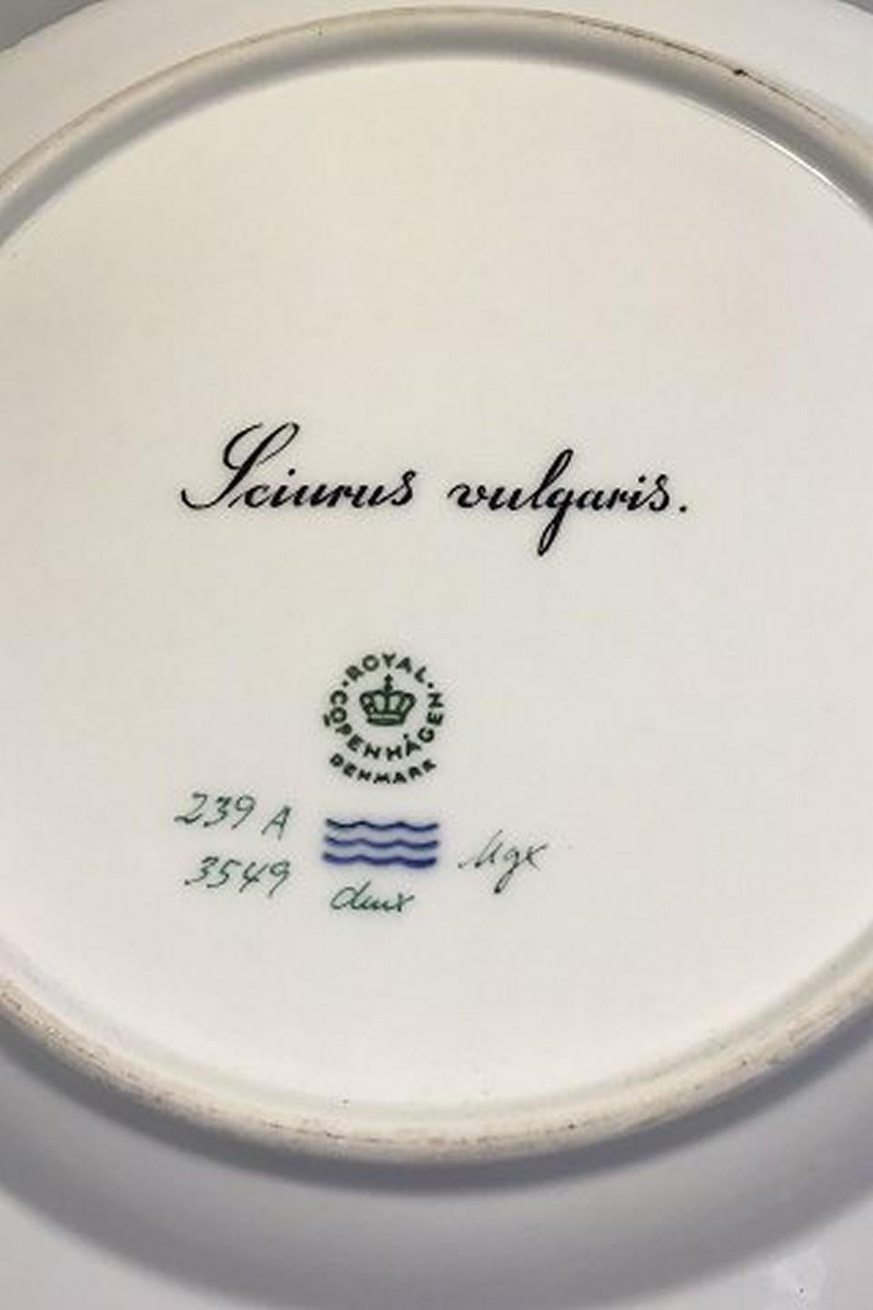 Royal Copenhagen Flora Danica animal dinner plate no 239/3549. Latin Name Sciurus Vulgaris Measures: 25.5 cm (10 3/64