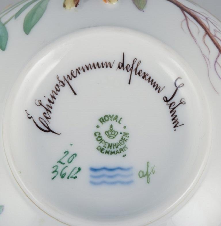 Porcelaine Tasse à bouillon Flora Danica de Royal Copenhagen avec soucoupe en porcelaine peinte à la main en vente