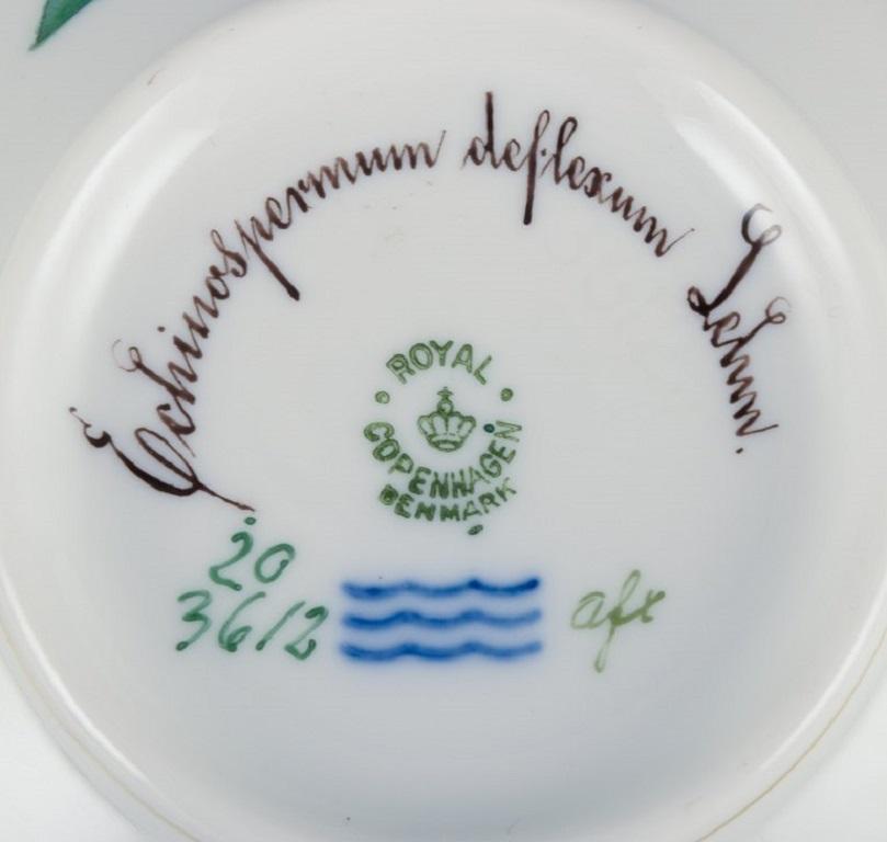 Danish Royal Copenhagen Flora Danica Bouillon Cup with Saucer in Hand Painted Porcelain For Sale