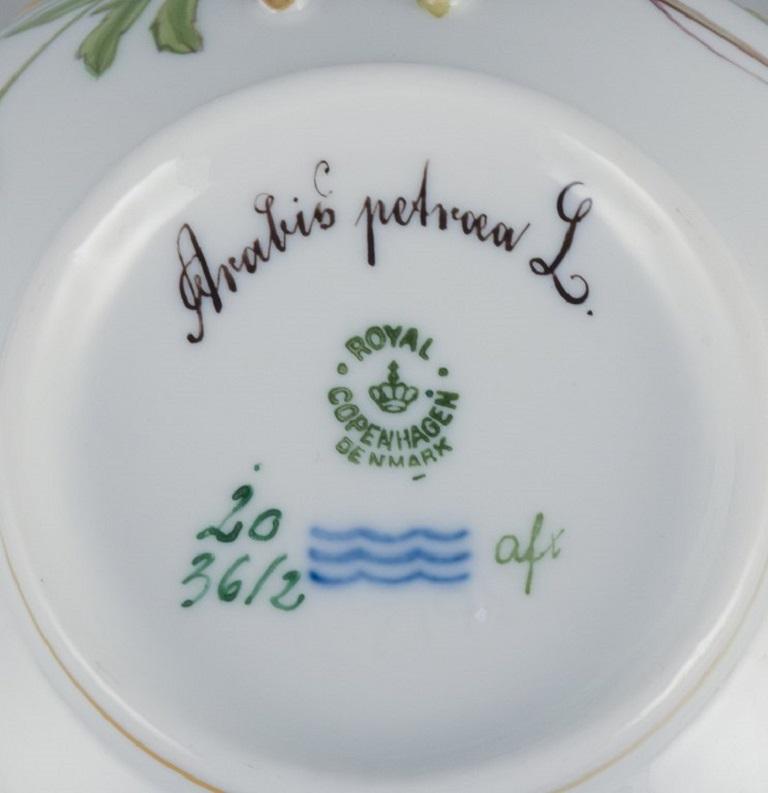 Tasse à bouillon Flora Danica de Royal Copenhagen avec soucoupe en porcelaine peinte à la main en vente 1