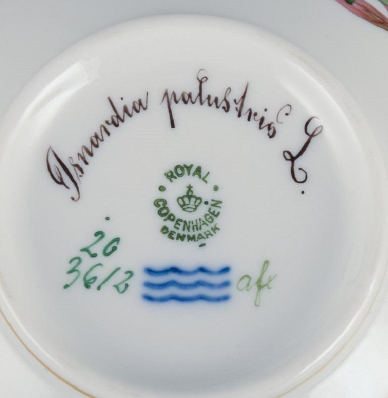 Royal Copenhagen Flora Danica Bouillon Cup with Saucer in Hand Painted Porcelain 2