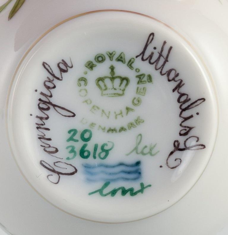 Late 20th Century Royal Copenhagen Flora Danica coffee cup and saucer. Corrigiola Litoralis.