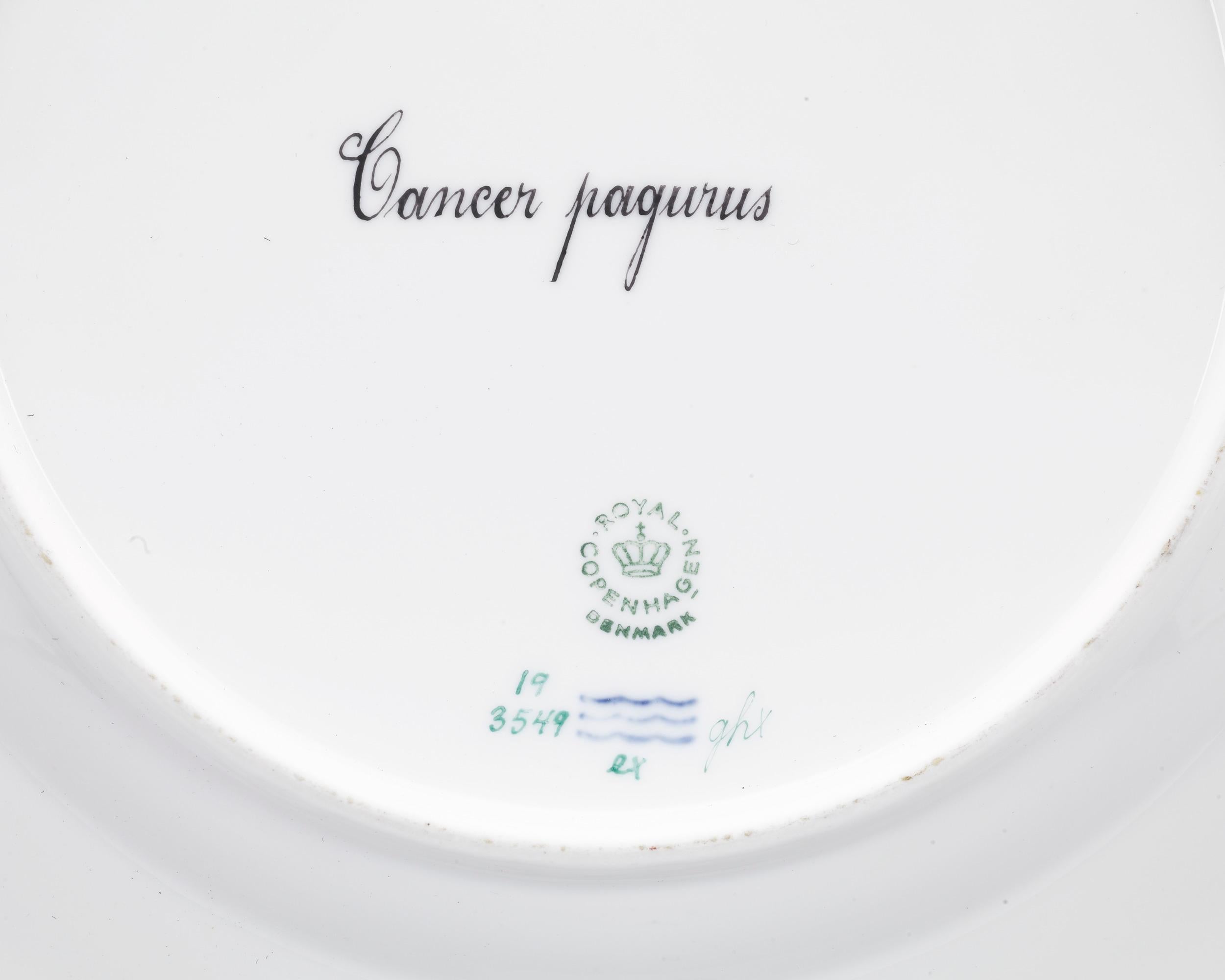 Cette impressionnante assiette en porcelaine de Royal Copenhagen reprend le célèbre motif Flora Danica. Cependant, au lieu des fleurs indigènes plus typiquement utilisées dans la porcelaine Flora Danica, cette assiette fait partie d'un sous-ensemble
