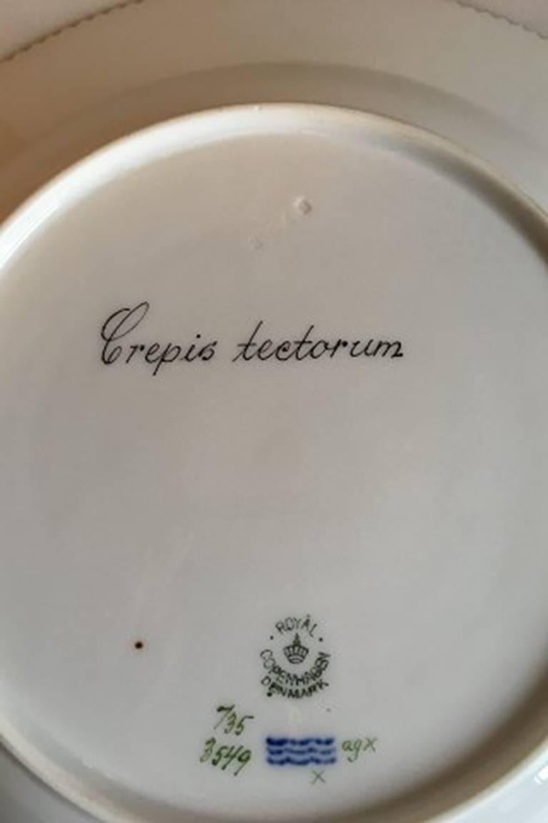 Royal Copenhagen Flora Danica dinner plate #735/3549. 
Latin name: Crepis tectorum.
Measures: 25.5 cm / 10 3/64 inches. 2nd quality.