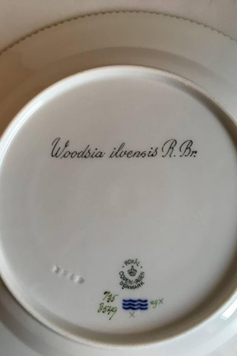 Royal Copenhagen Flora Danica dinner plate #735/3549.
Latin name: Woodsia ilvensis R. Br.
Measures 25.5 cm / 10 3/64 inches. 2nd quality.
 