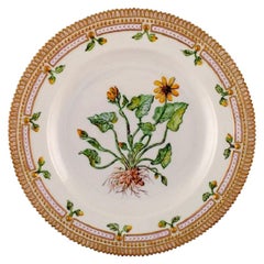 Royal Copenhagen Flora Danica Dinner Plate