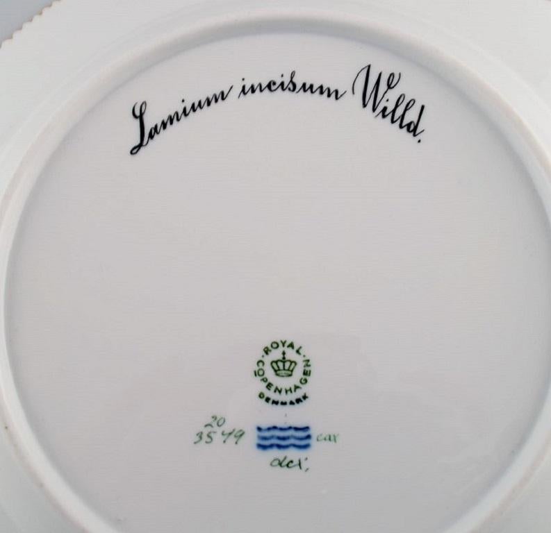 Mid-20th Century Royal Copenhagen Flora Danica Dinner Plate in Hand-Painted Porcelain
