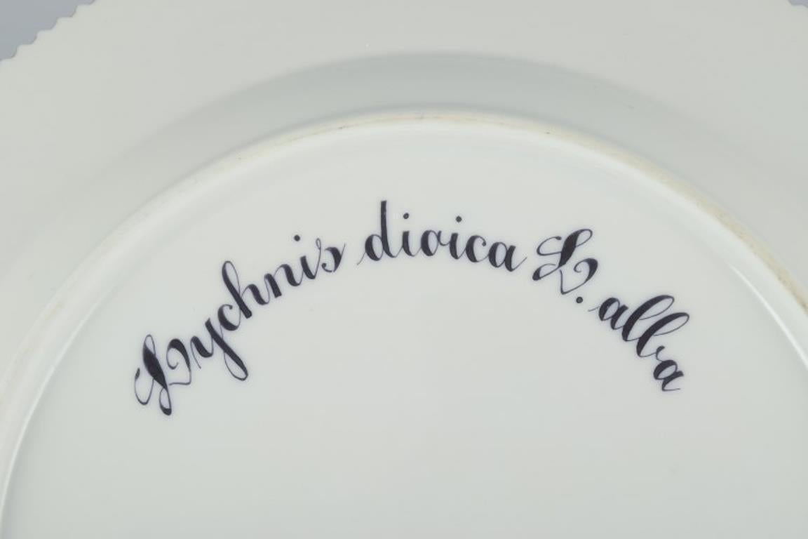 Royal Copenhagen Flora Danica dinner plate in hand-painted porcelain. For Sale 1