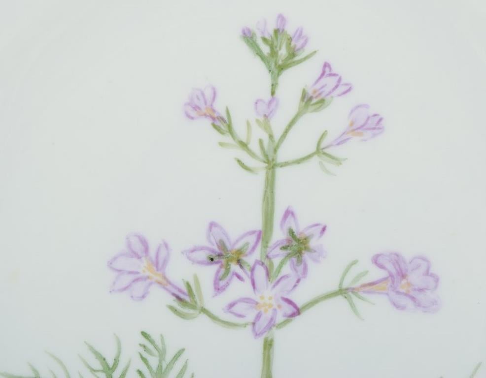 Flora Danica de Royal Copenhagen. Plato llano de porcelana, años 30/40 Danés