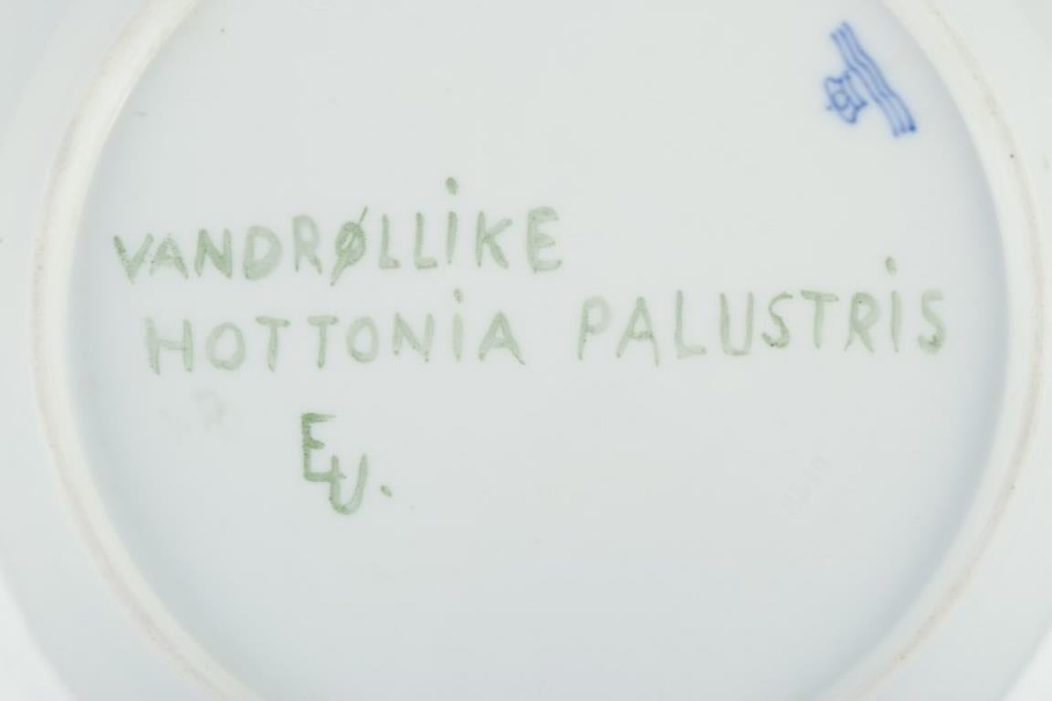 Flora Danica de Royal Copenhagen. Plato llano de porcelana, años 30/40 Porcelana