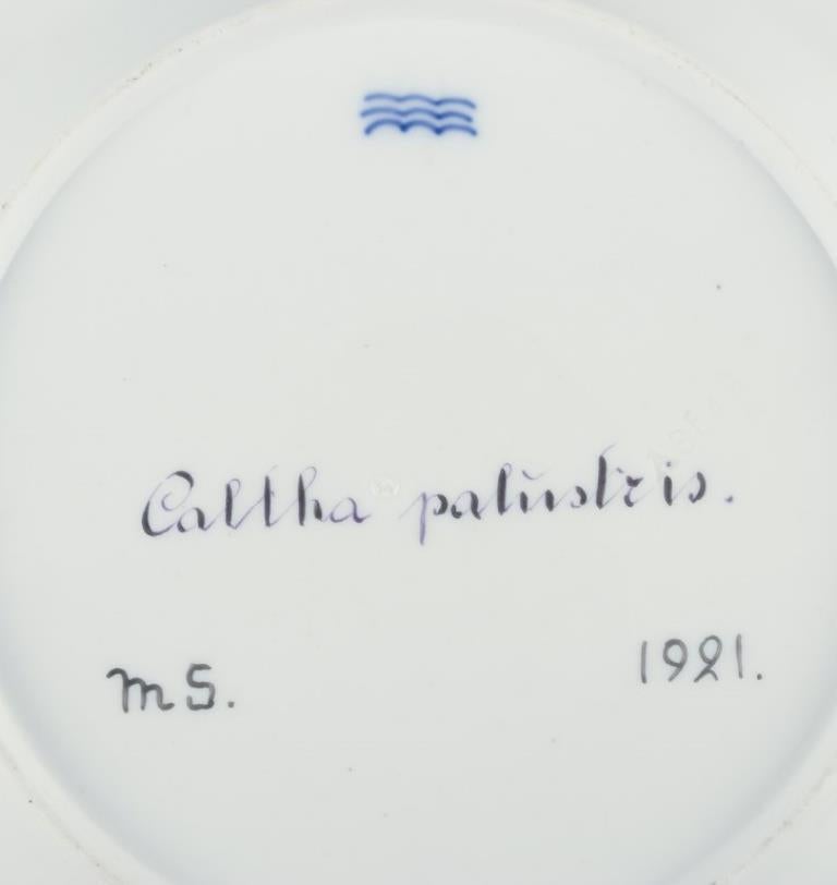 Royal Copenhagen Flora Danica. Dinner plate in porcelain, dated 1921 1