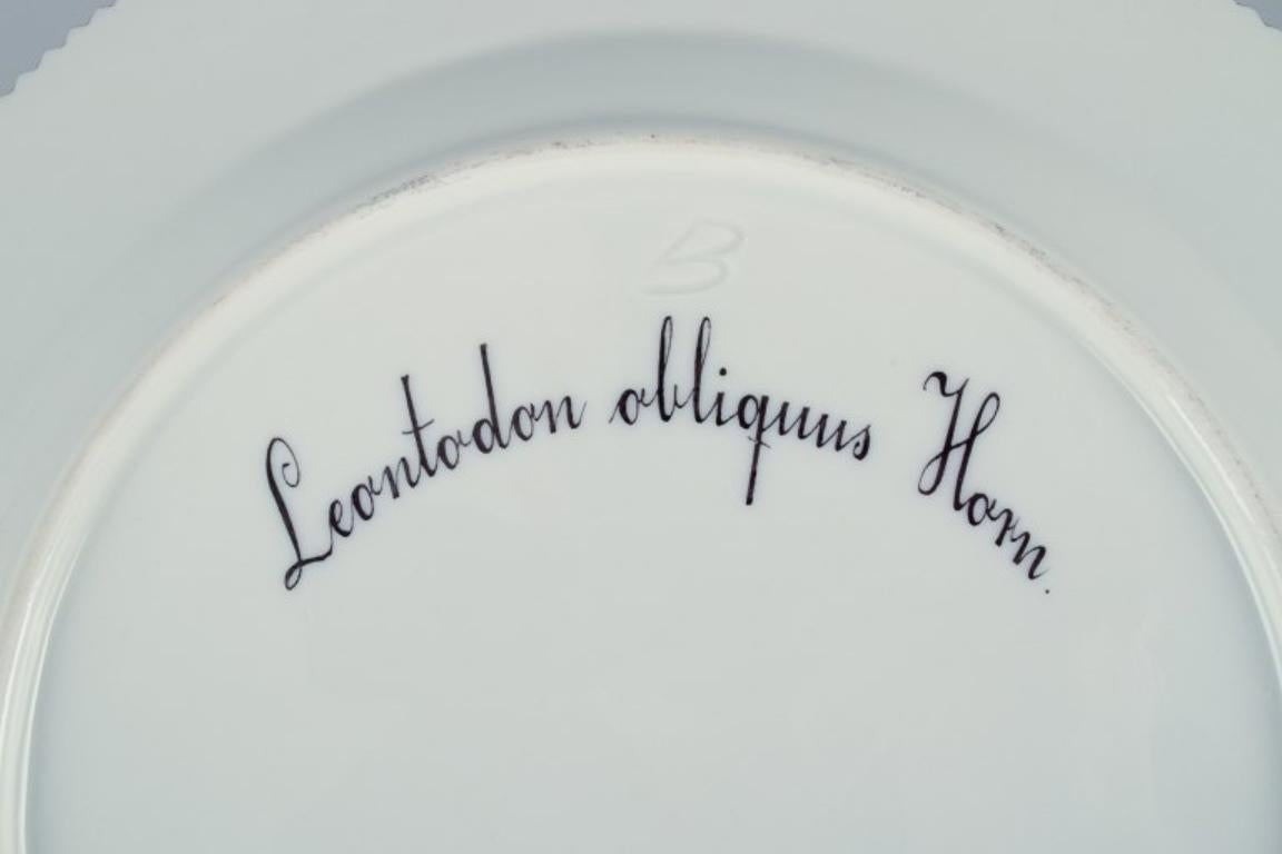 Assiette plate Flora Danica en porcelaine avec décoration dorée de Royal Copenhagen. en vente 1